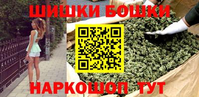 гидра Будённовск