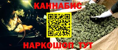 гидра Будённовск