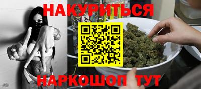 гидра Будённовск